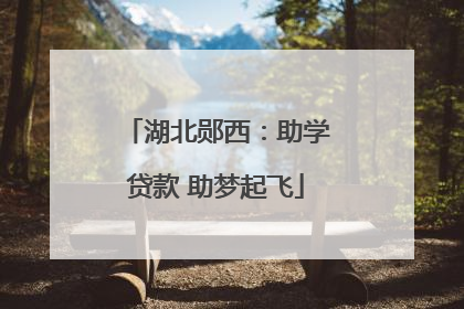 湖北郧西：助学贷款 助梦起飞