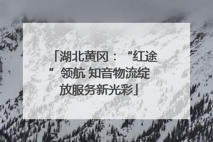 湖北黄冈：“红途”领航 知音物流绽放服务新光彩