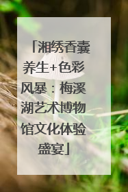 湘绣香囊养生+色彩风暴：梅溪湖艺术博物馆文化体验盛宴