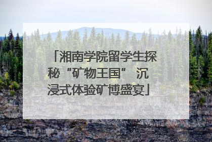 湘南学院留学生探秘“矿物王国” 沉浸式体验矿博盛宴