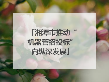 湘潭市推动“机器管招投标”向纵深发展