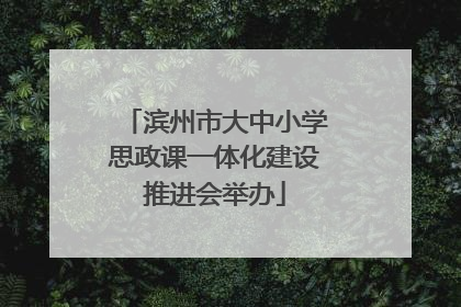 滨州市大中小学思政课一体化建设推进会举办