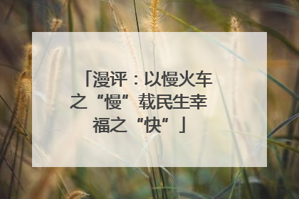 漫评：以慢火车之“慢”载民生幸福之“快”