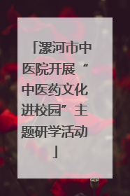 漯河市中医院开展“中医药文化进校园”主题研学活动