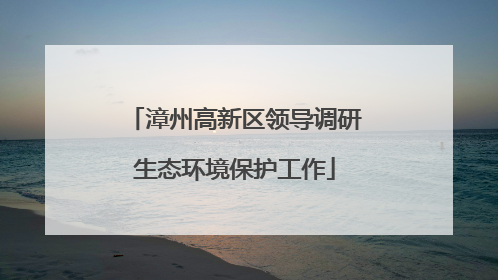 漳州高新区领导调研生态环境保护工作