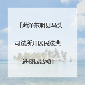 菏泽东明县马头司法所开展民法典进校园活动