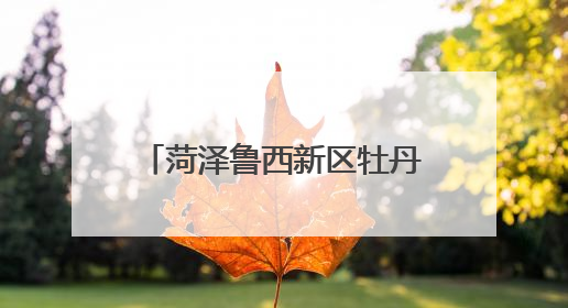菏泽鲁西新区牡丹文创亮相第二十一届中国（深圳）国际文化产业博览交易会