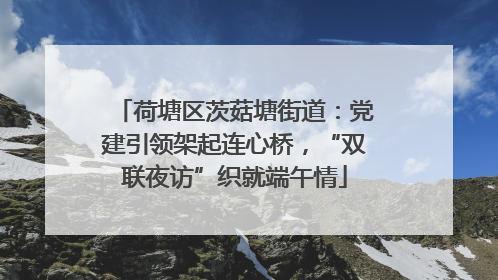 荷塘区茨菇塘街道：党建引领架起连心桥，“双联夜访”织就端午情