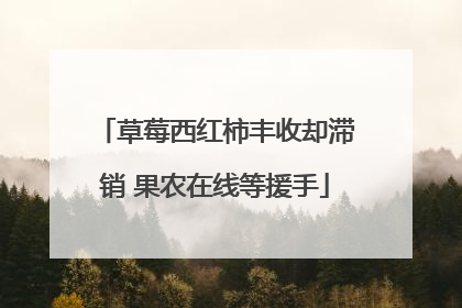 草莓西红柿丰收却滞销 果农在线等援手