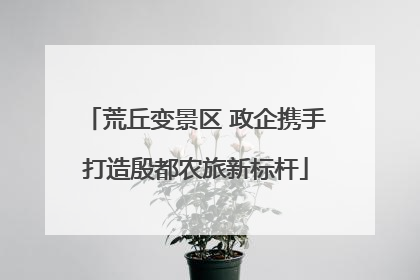 荒丘变景区 政企携手打造殷都农旅新标杆
