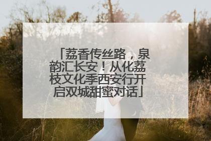 荔香传丝路，泉韵汇长安！从化荔枝文化季西安行开启双城甜蜜对话