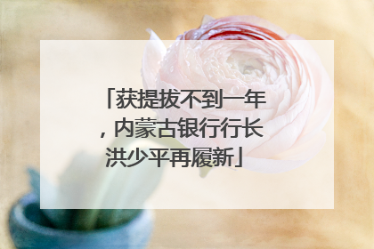 获提拔不到一年，内蒙古银行行长洪少平再履新