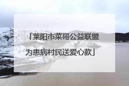 莱阳市菜哥公益联盟为患病村民送爱心款