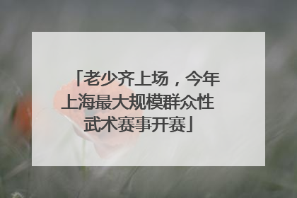 老少齐上场，今年上海最大规模群众性武术赛事开赛