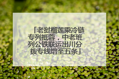 老挝榴莲乘冷链专列抵蓉，中老班列公铁联运出川分拨专线增至五条