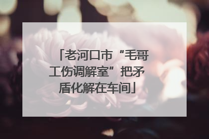 老河口市“毛哥工伤调解室”把矛盾化解在车间