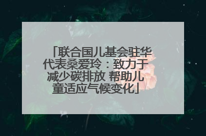 联合国儿基会驻华代表桑爱玲：致力于减少碳排放 帮助儿童适应气候变化