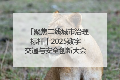 聚焦二线城市治理标杆｜2025数字交通与安全创新大会在保定隆重开幕