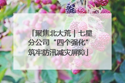 聚焦北大荒｜七星分公司“四个强化”筑牢防汛减灾屏障
