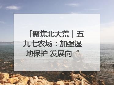 聚焦北大荒｜五九七农场：加强湿地保护 发展向“绿”而行