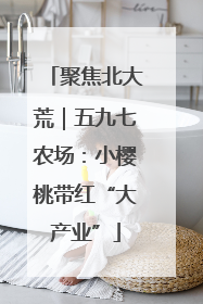 聚焦北大荒｜五九七农场：小樱桃带红“大产业”