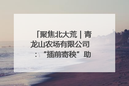 聚焦北大荒｜青龙山农场有限公司：“插前寄秧”助力农业节本增效