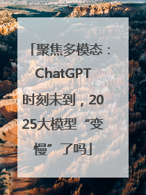 聚焦多模态：ChatGPT时刻未到，2025大模型“变慢”了吗