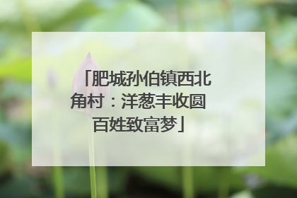 肥城孙伯镇西北角村：洋葱丰收圆百姓致富梦