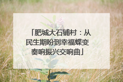 肥城大石铺村：从民生期盼到幸福蝶变奏响振兴交响曲