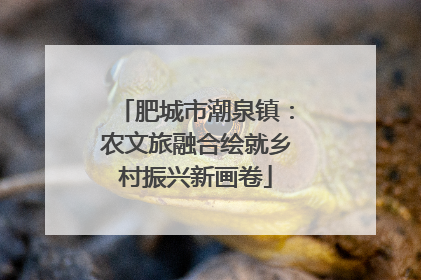 肥城市潮泉镇：农文旅融合绘就乡村振兴新画卷