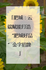 肥城：云端赋能打造“肥城好品”金字招牌