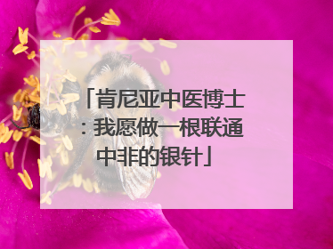 肯尼亚中医博士：我愿做一根联通中非的银针
