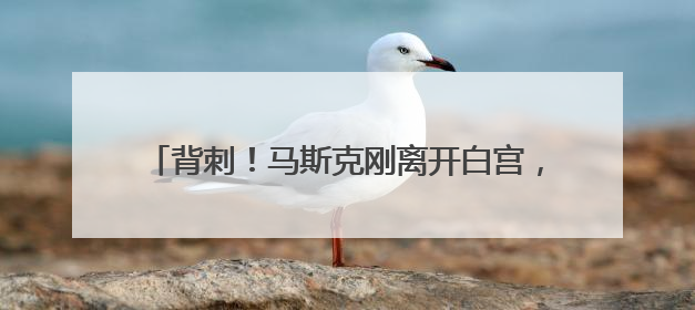背刺！马斯克刚离开白宫，他好朋友的NASA局长提名就被特朗普撤销：新人选要在太空实现“美国优先”