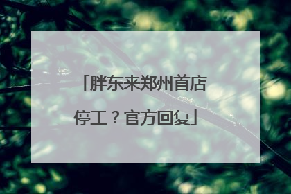 胖东来郑州首店停工？官方回复