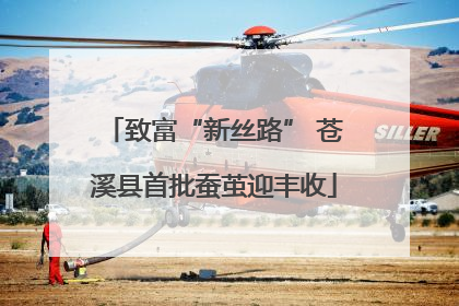 致富“新丝路” 苍溪县首批蚕茧迎丰收