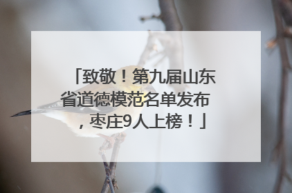 致敬！第九届山东省道德模范名单发布，枣庄9人上榜！