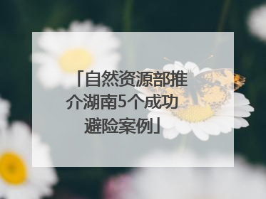 自然资源部推介湖南5个成功避险案例