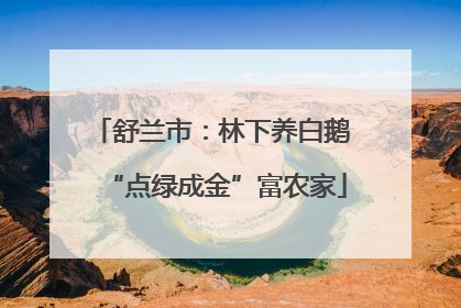 舒兰市：林下养白鹅 “点绿成金”富农家