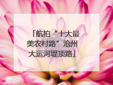 航拍“十大最美农村路”沧州大运河堤顶路