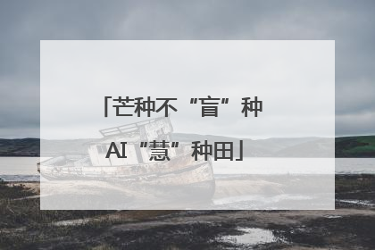 芒种不“盲”种 AI“慧”种田
