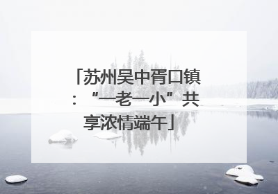 苏州吴中胥口镇：“一老一小”共享浓情端午