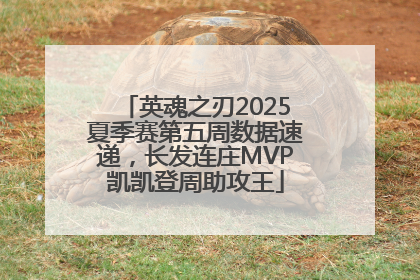 英魂之刃2025夏季赛第五周数据速递，长发连庄MVP凯凯登周助攻王