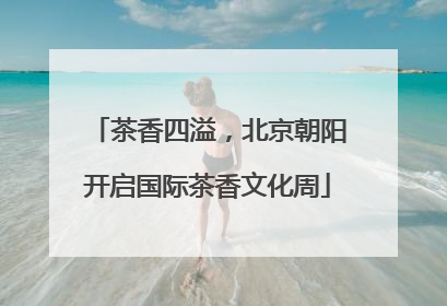 茶香四溢，北京朝阳开启国际茶香文化周
