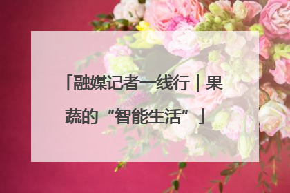 融媒记者一线行｜果蔬的“智能生活”