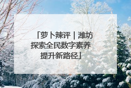 萝卜辣评｜潍坊探索全民数字素养提升新路径