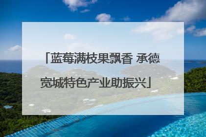 蓝莓满枝果飘香 承德宽城特色产业助振兴