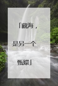 藏海，是另一个甄嬛