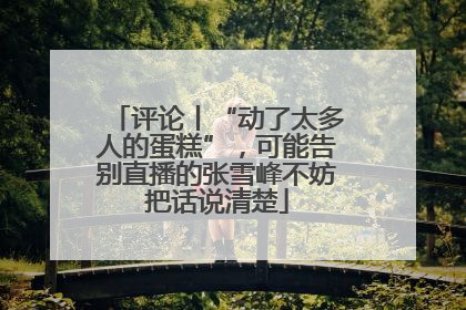 评论丨“动了太多人的蛋糕”，可能告别直播的张雪峰不妨把话说清楚