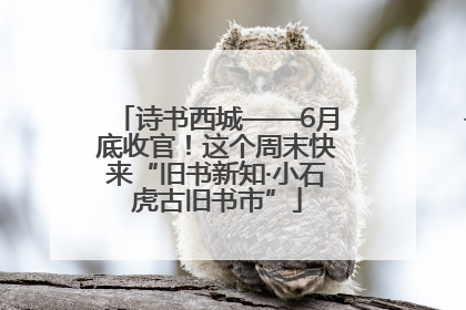 诗书西城——6月底收官！这个周末快来“旧书新知·小石虎古旧书市”