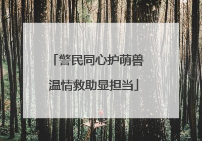 警民同心护萌兽 温情救助显担当